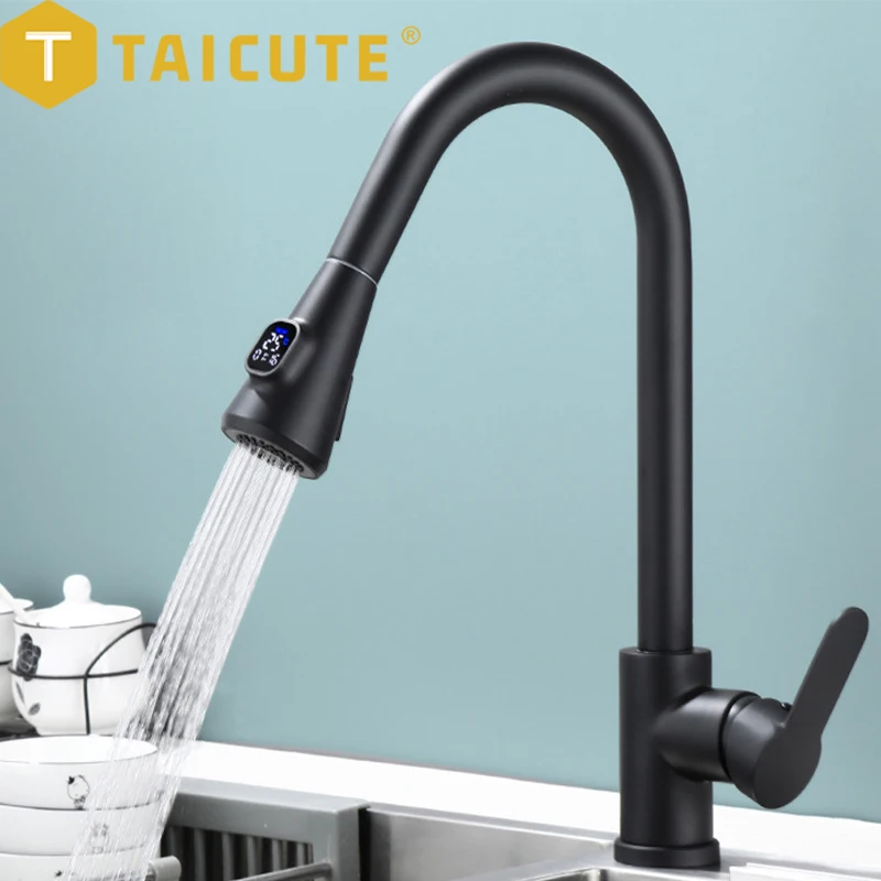 TAICUTE Digital Temperature Display Kitchen Faucets Pull Out Nozzles Sink Mixer Brass Black Faucet Hot and Cold Water Taps