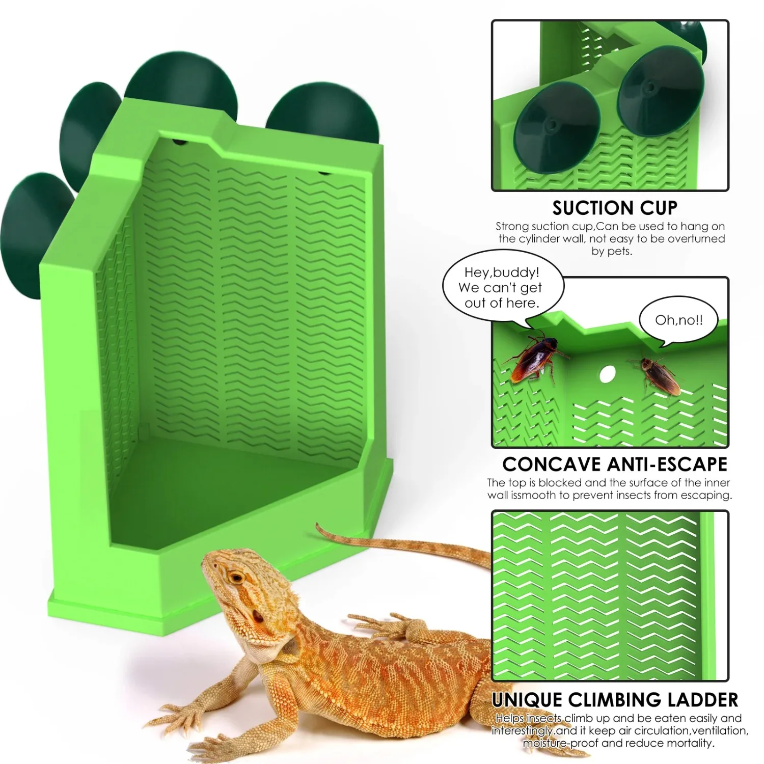 Escape-Proof Corner Reptile Feeder Bowl with Suction Cups 2
