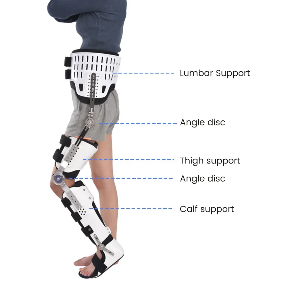 Leg Rehabilitation Waist Knee Joint Brace Lower Limb Support Fixation Brace Ligament Strain Orthosis Meniscus Ankle Bracket