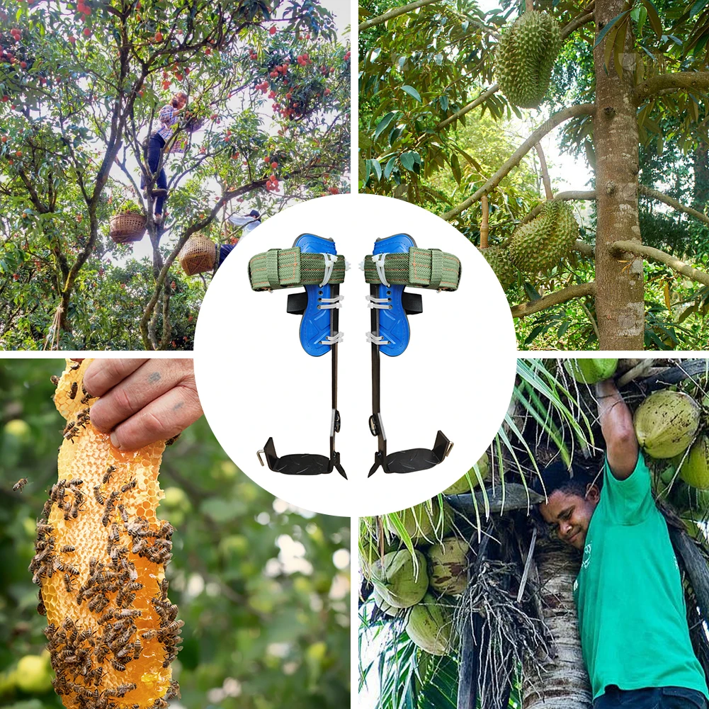 Engrenagem de escalada em árvore, altura ajustável, piercing, conjunto de ferramentas de escalada com cinto de segurança, carga de 350lbs para escalada e colheita