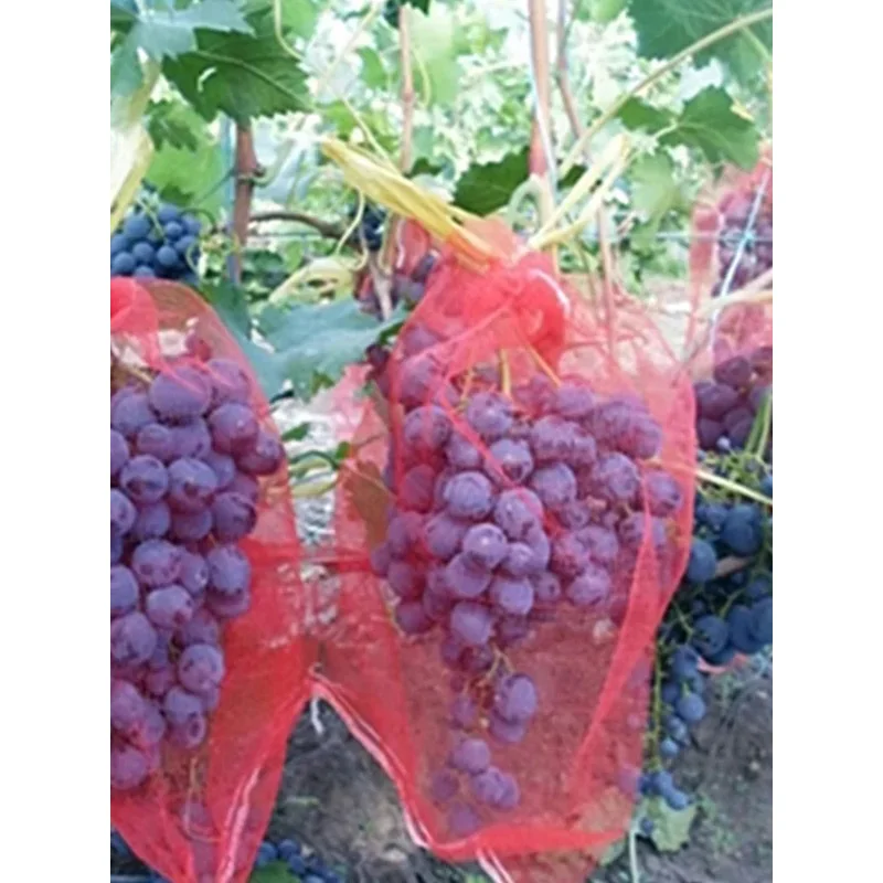 Bolsa de 100 Uds para proteger los uvas transpirable con cinturón de malla de gasa cuerda resistente al desgaste, antiinsectos MN4