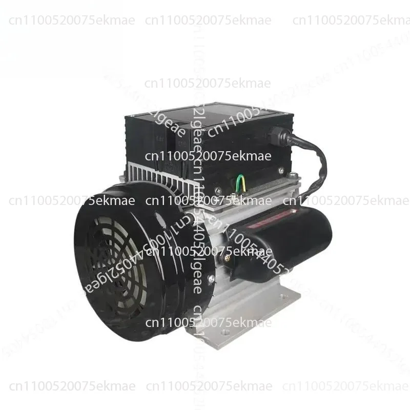 Permanent Magnet Motor  Permanent Magnet Motor
