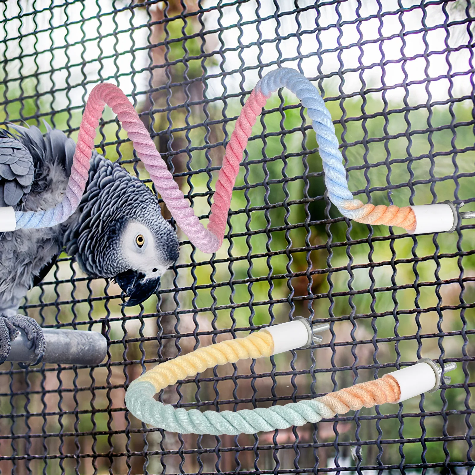 

3Pcs Cotton Rope Parrot Stand Colorful Climbing Swing Bird Cage Accessories Soft Durable Bird Play Perch Rope for Birds