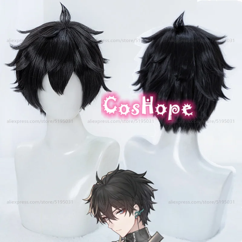 Peluca de Cosplay Dan Heng, peluca corta de 30cm, peluca negra, pelucas de Cosplay de Anime, pelucas sintéticas resistentes al calor