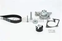 Store code: CT1035WP4 internal camshaft camshaft tensioner kit (123 × ×) CLIO MEGANE FLUENCE KANGO SCENIC TVNG LOGAN DCI (K9K)