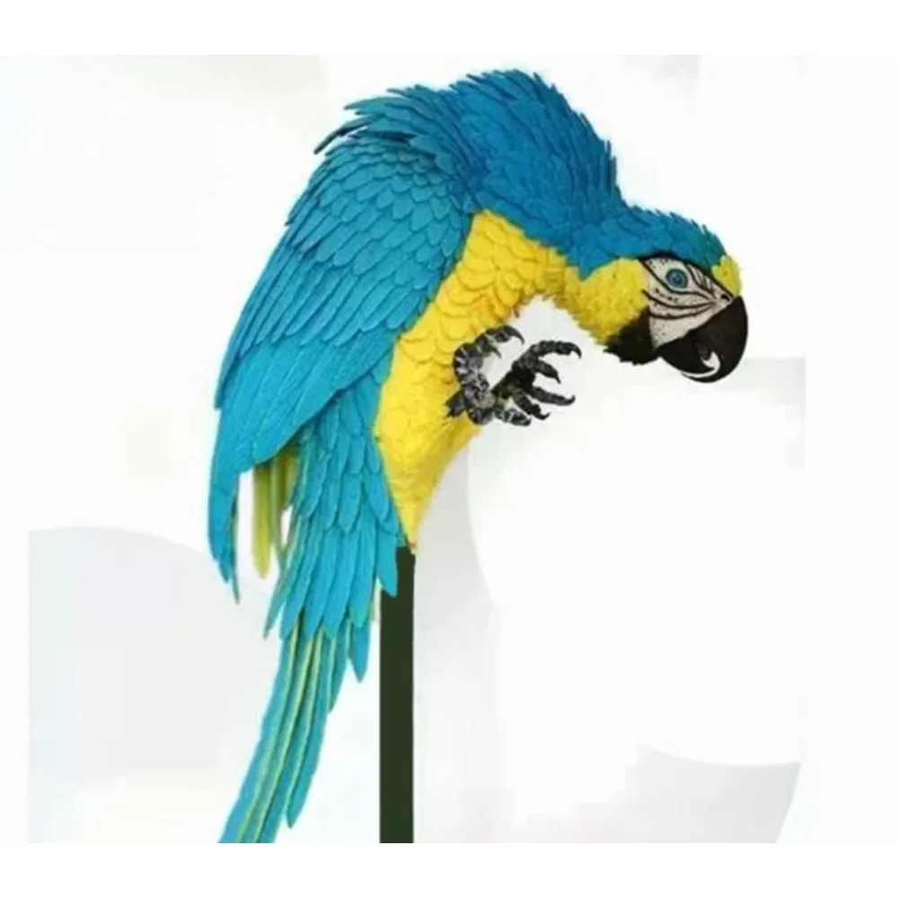 Blue Parrot Animatr…