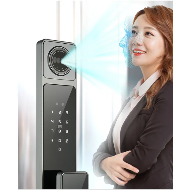 Automatic 3D Face Recognition App Fingerprint Smart Door Lock For Aluminum Door Anti-theft Door