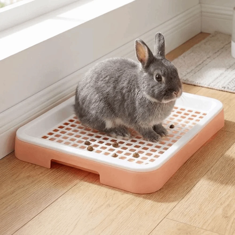 

Double Layer Rabbit Training Toilet Removable Tray Potty Training Aid Small Animal Litter Box Plastic Splash-Proof