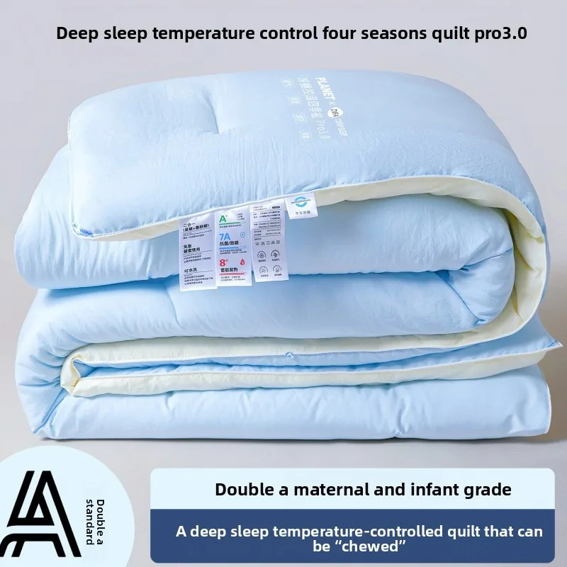 Deep Sleep Blanket Thick and Warm Quilt Core Spring Autumn Quilt Summer Quilt Thick Winter Wholesale Comforter Quilt Thick Quilt