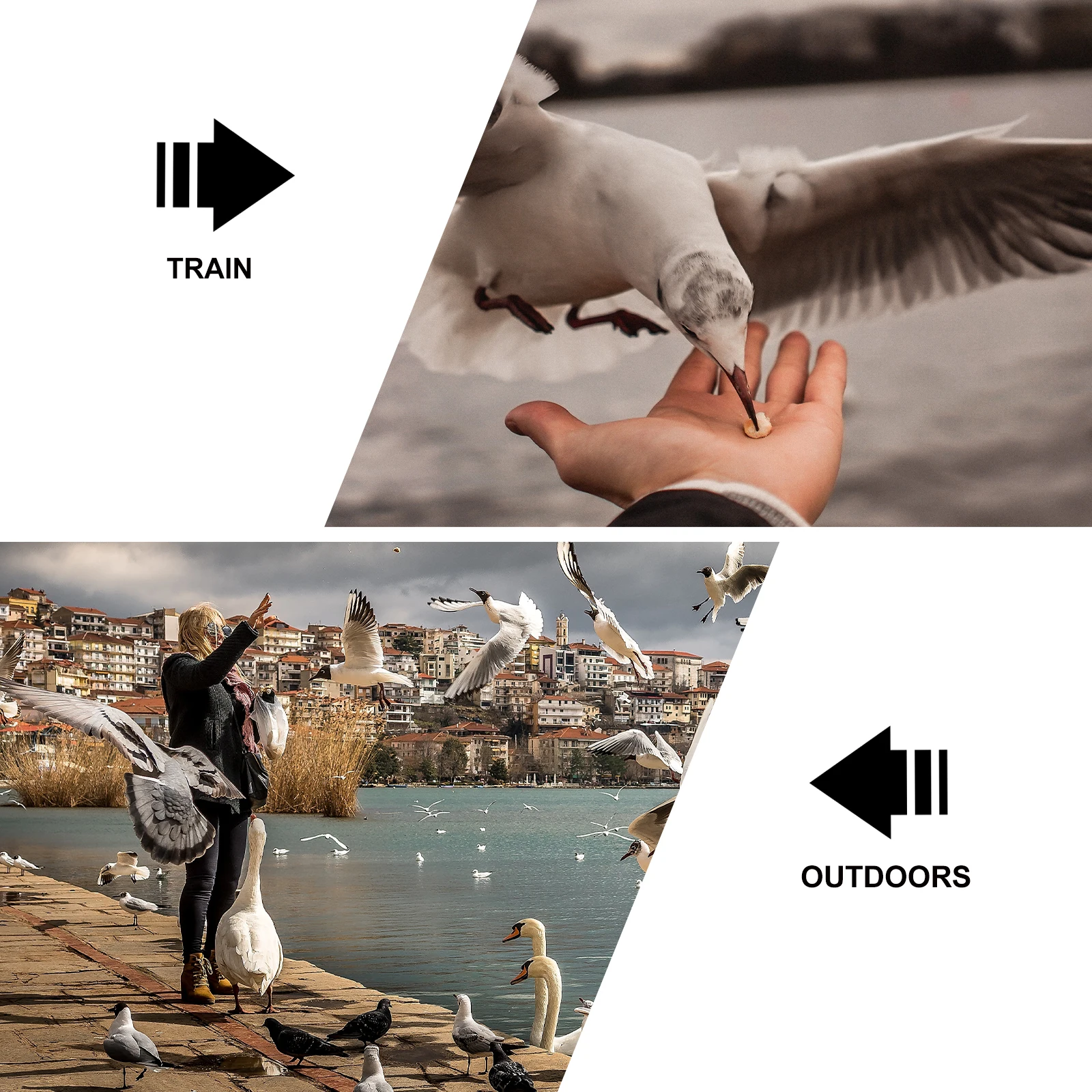 

2Pcs Bird Shoulder Protector Parrot Shawl Cotton Cape Thick Cloth AntiScratch Pet Arm Shoulder Set Accessories