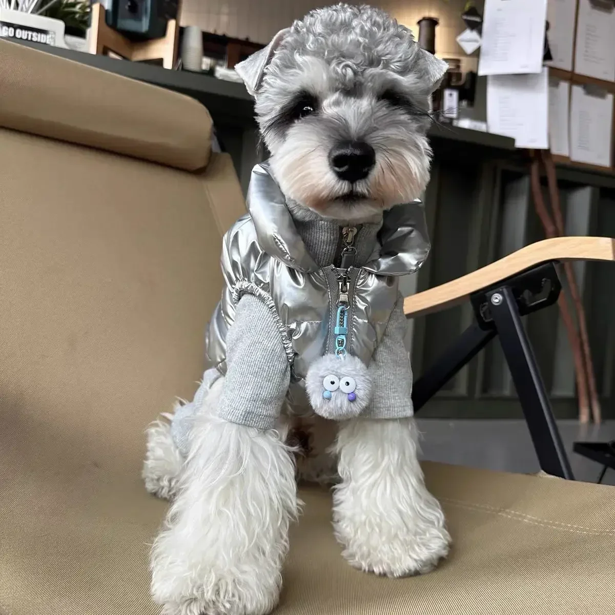Silver Cotton-Padded Waistcoat for Dog, Warm Clothes, Thickening, Schnauzer, Bichon, Teddy, Shiba Inu, West Highland