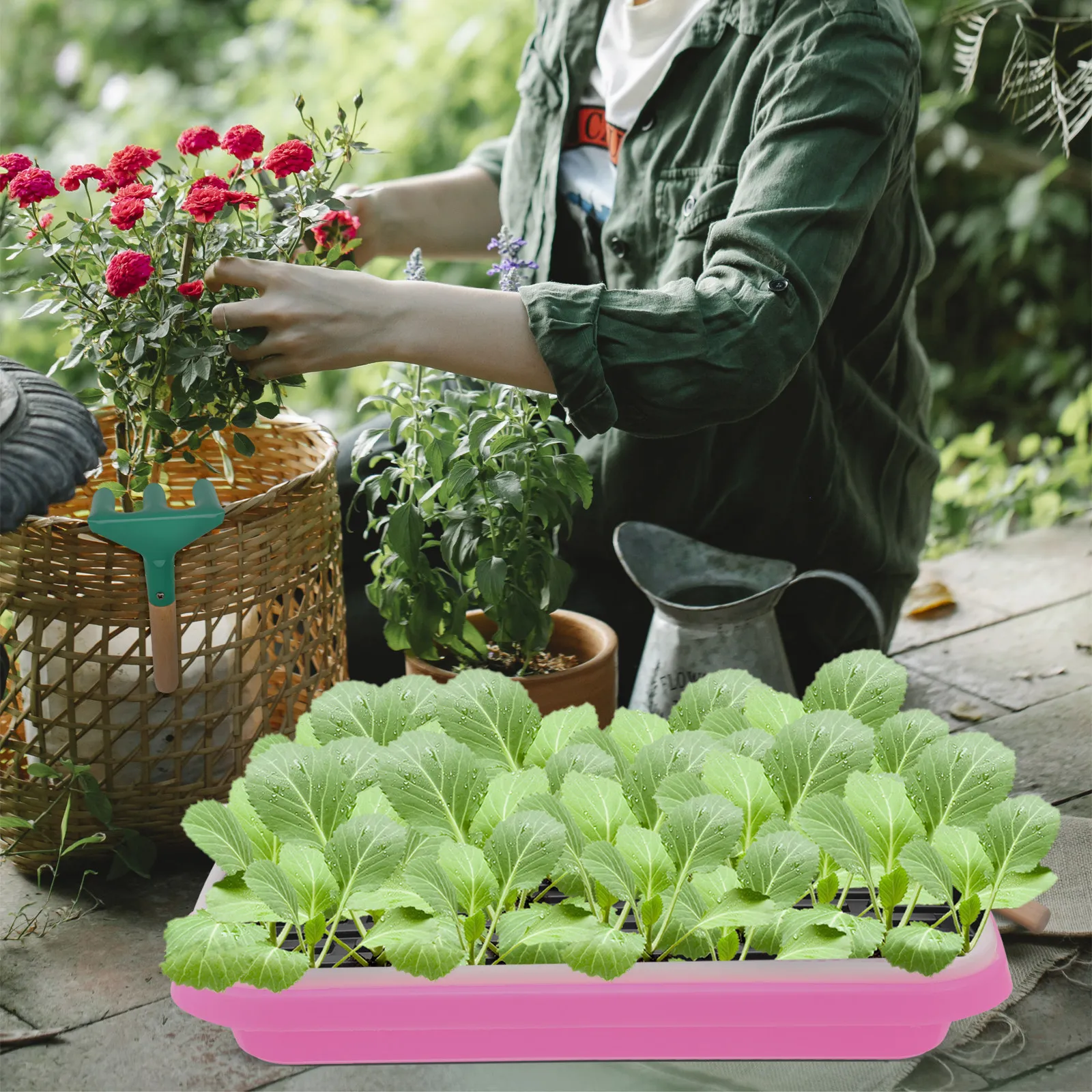 Sprouter Tray Seedling Cultivation Soil-Free Bpa Free PP Ventilated Growing Tray Fruit Vegetable Storage 35x26x5cm Purple