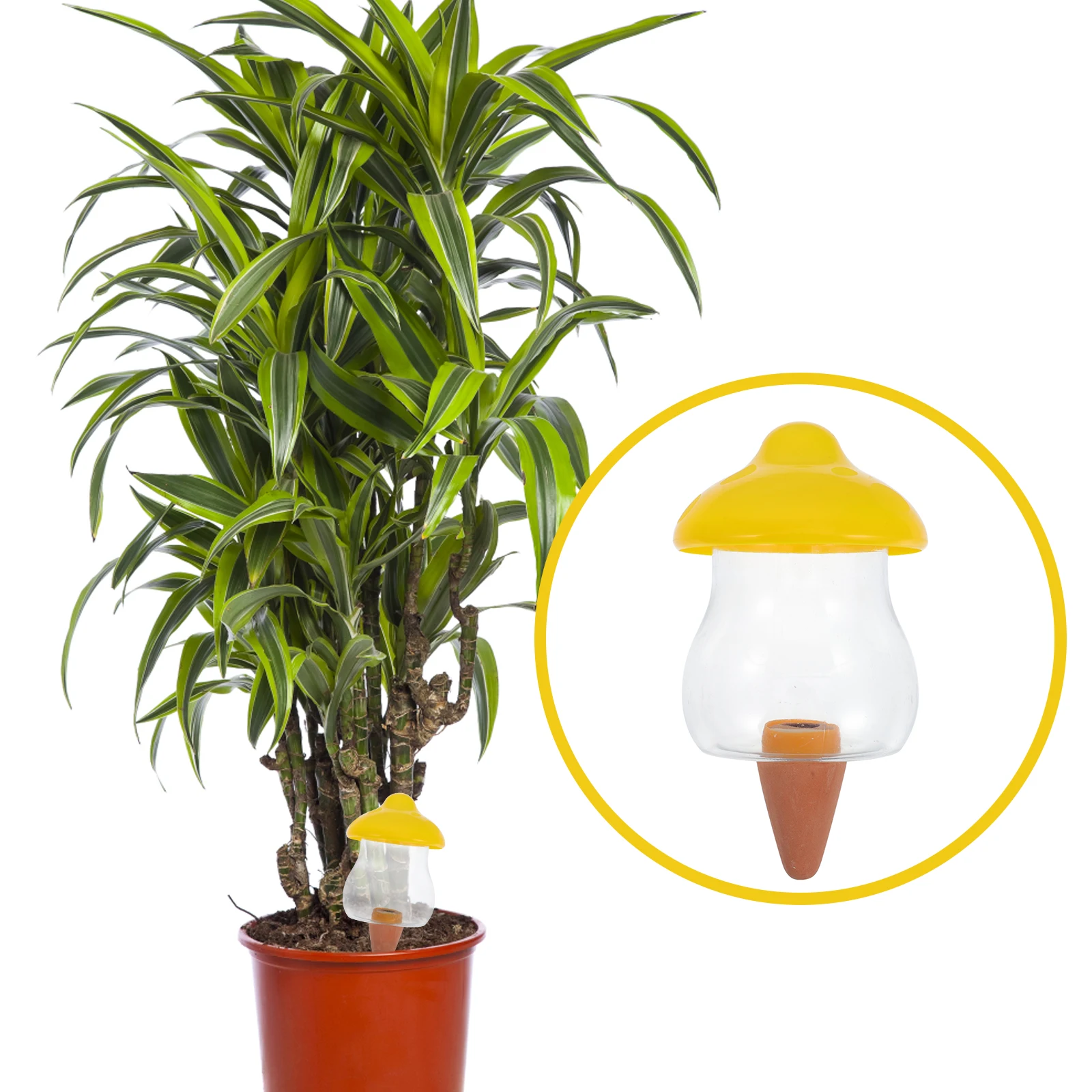 جهاز سقي أوتوماتيكي منقط سقي ذاتي للنباتات أداة ري حديقة المنزل مساعد جذور ترطيب بالتنقيط #5