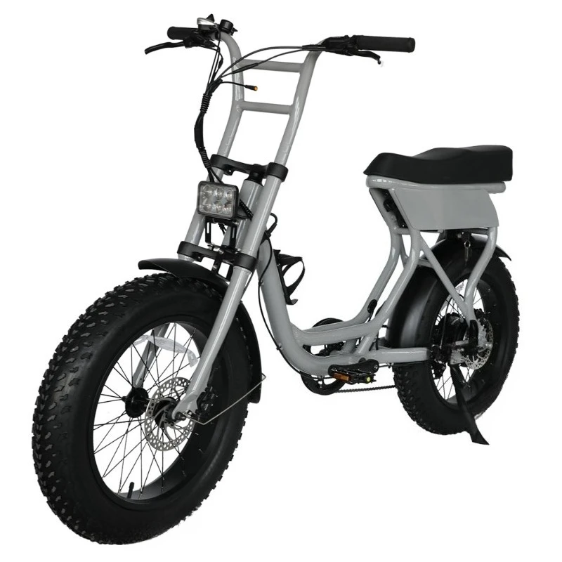 

SXLL Cheap Price 750W Lithium 20 Inch 7 Speed Adult Fat Bike City Bike Electric Bike