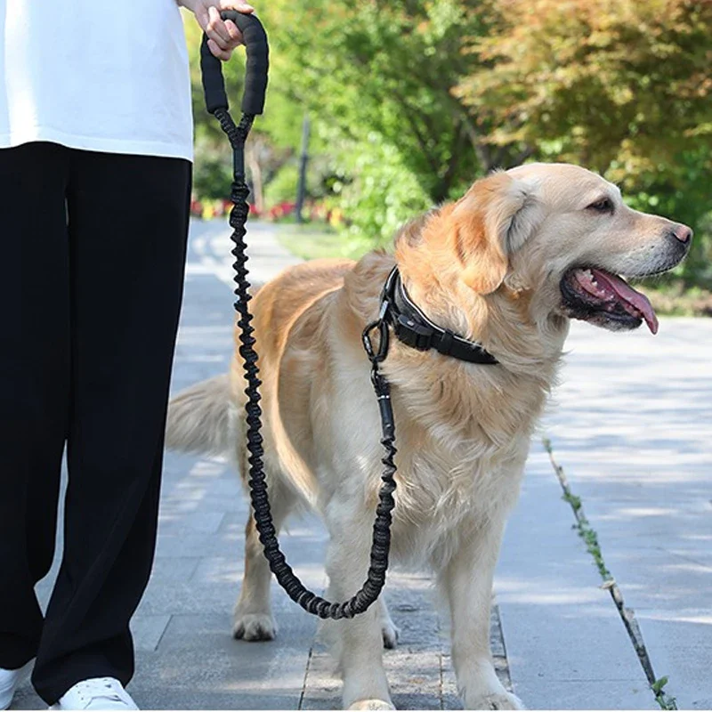 Heavy-Duty Dog Leash with Anti-Pull G Chain – Perfect for Golden Retrievers, Border Collies, and Large Breeds | Durable Pet