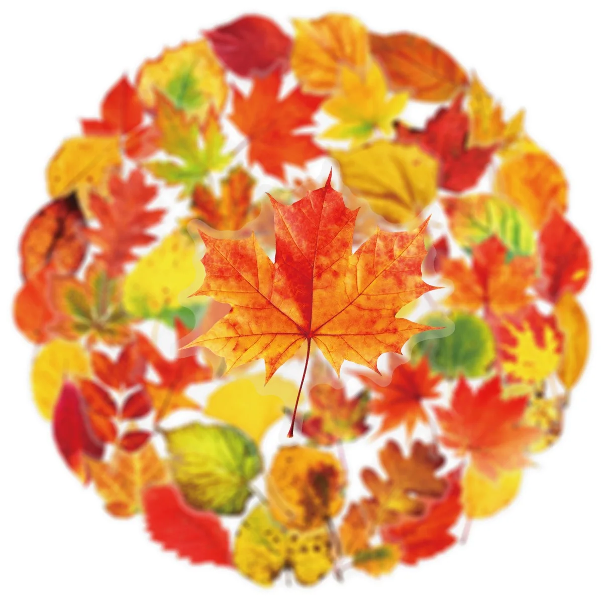 Рисунок 5 - прозрачные наклейки в скандинавском