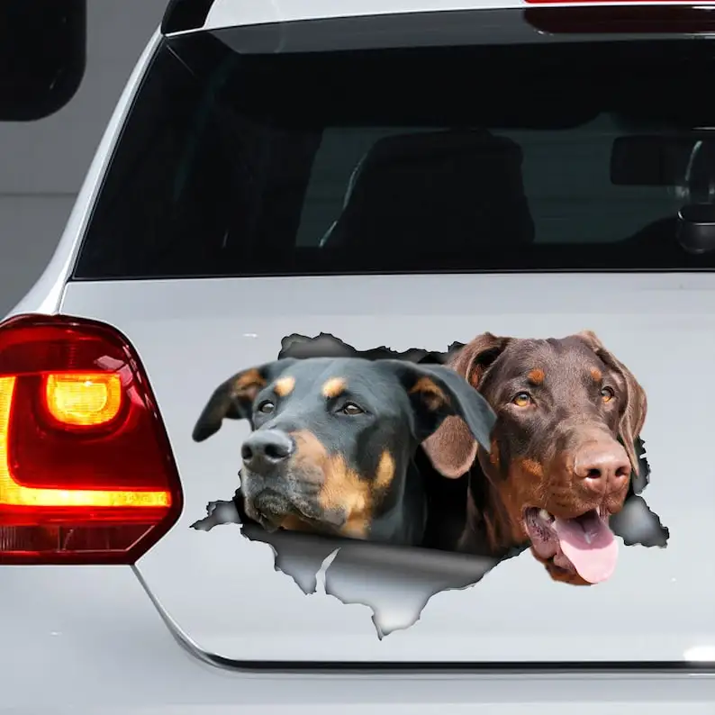 Black and tan dobbie decal, natural doberman decal, doberman magnet, doberman car decal