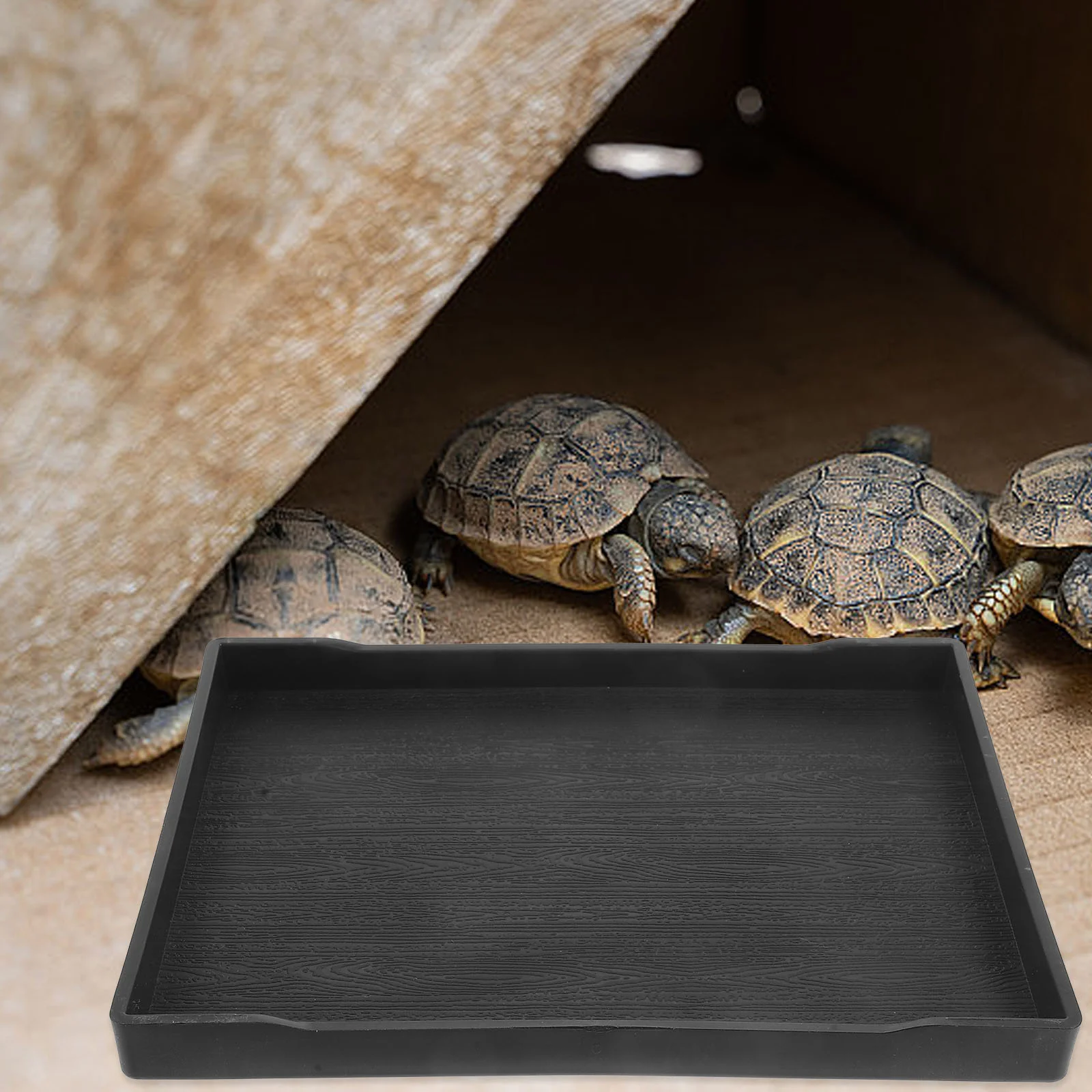 Reptile Animal Feeding Bowl Horned Frog Tortoise Water Dish Large Pet Food and Animals