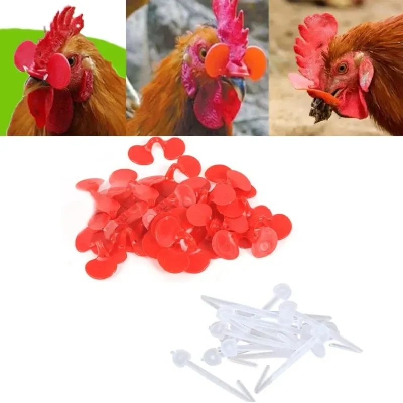 60pcs Chicken Accessories Poultry Chicken Fighting Glasses Red Non-tethered Farm Peepers
