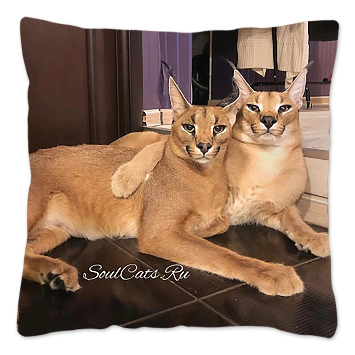 Cute Floppa Meme Pillow Case 45x45 Home Decor Dakimakura Funny Caracal Cat Throw Pillow Cover for Living Room Housse De Coussin