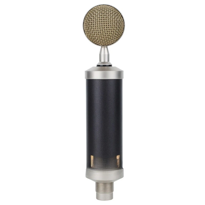 Professional recording condenser microphone