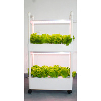 New Type NFT Hydroponic Growing Systems with Light 2 Layers 28 Holes Home Use Vegetable Planter Kits