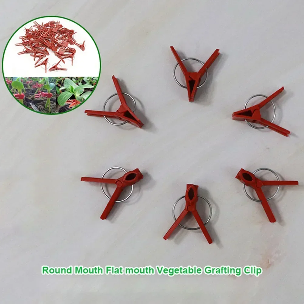 50PCS Clip per innesto di piante strumento per giardinaggio in plastica supporto per piante per vite giardino serra verdure anguria