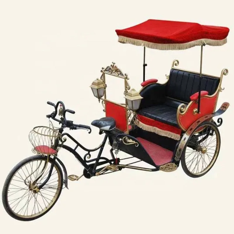 Classic Hand Pulled Wagon 2 Wheels Manpower Bicycle Rickshaw