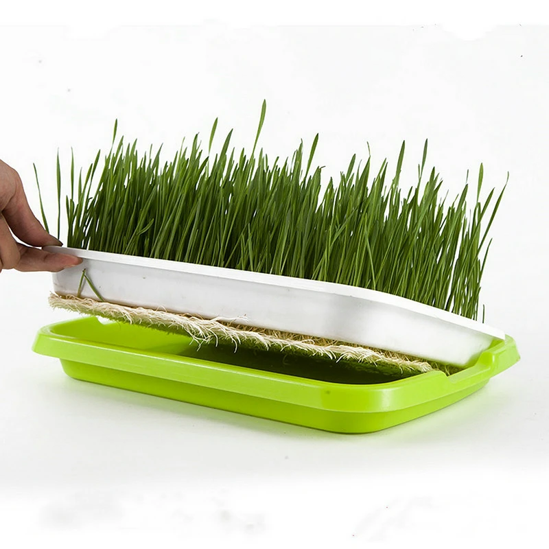 

3Piece Vegetable Sprouter Tray Hydroponic/Sprouting Tray for Sprout Horticultural Hydroponic Systems Tray Garden Nursery Potted