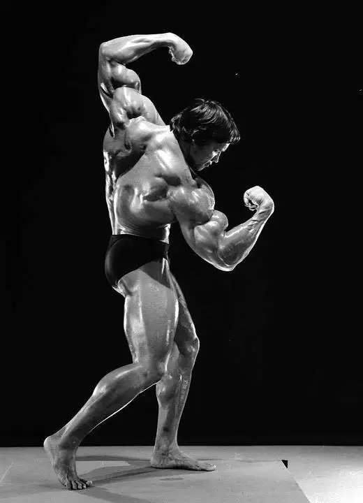 ARNOLD SCHWARZENEGGER Bodybuilding Art Picture Print for Home Wall Decor