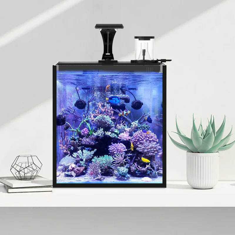 

Ultra Clear Glass Mini Salt Water Fish Tank Ultra Transparent PET Products Boxed Marine Aquarium