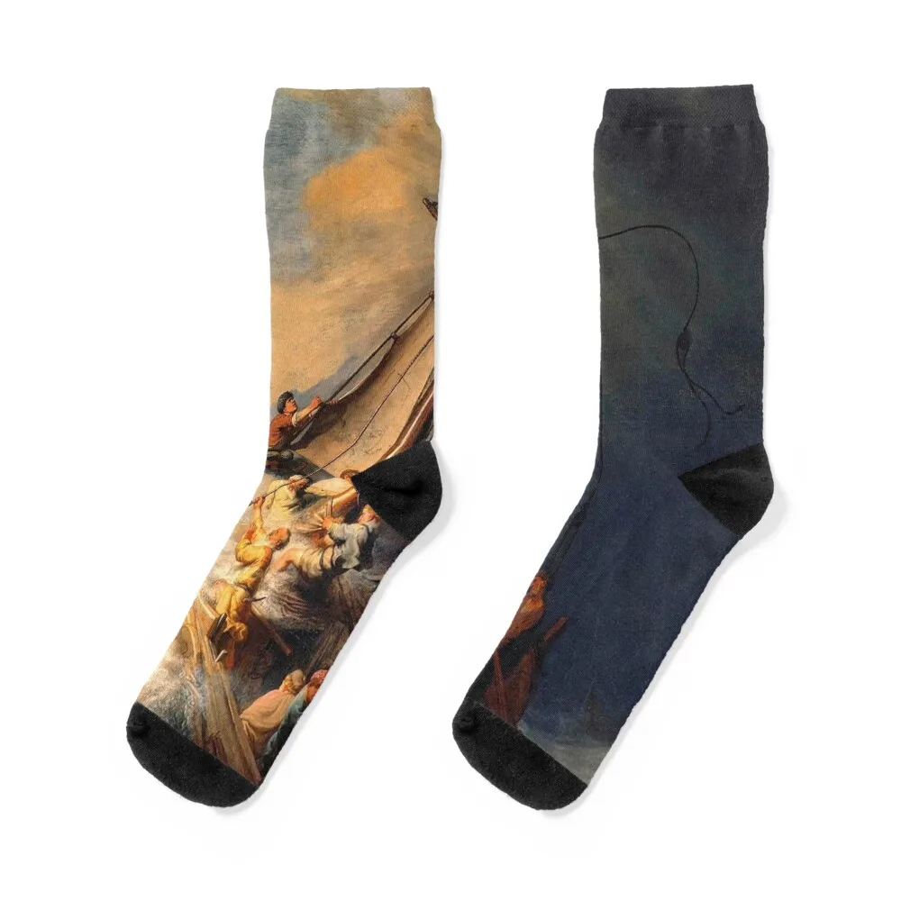 

Rembrandt van Rijn (1606 - 1669): The Storm on the Sea of Galilee, 1633, Oil on canvas, 160 x 128 cm Socks