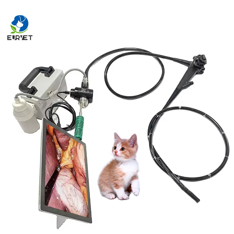 Animals Endoscopy Vet Portable Pet Video Endoscope for Veterinary Hospital