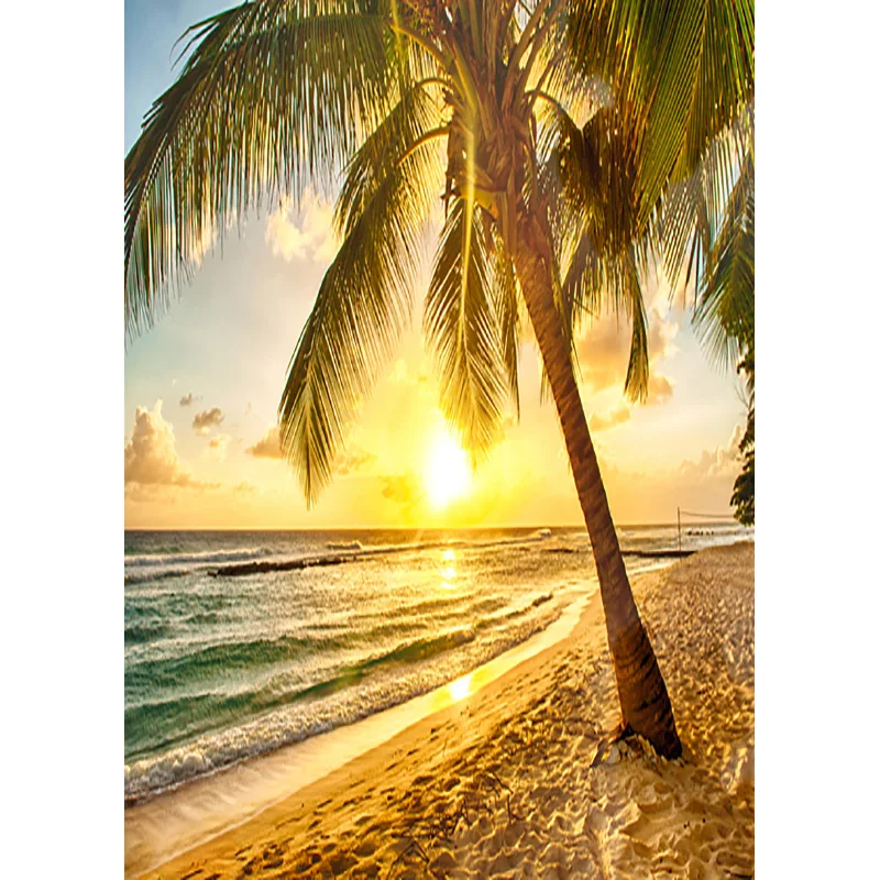 ZHISUXI Summer Tropical Sea Beach Palms Tree Photography Background Scenic Photo Backdrops Photocall Photo Studio CXZM-02