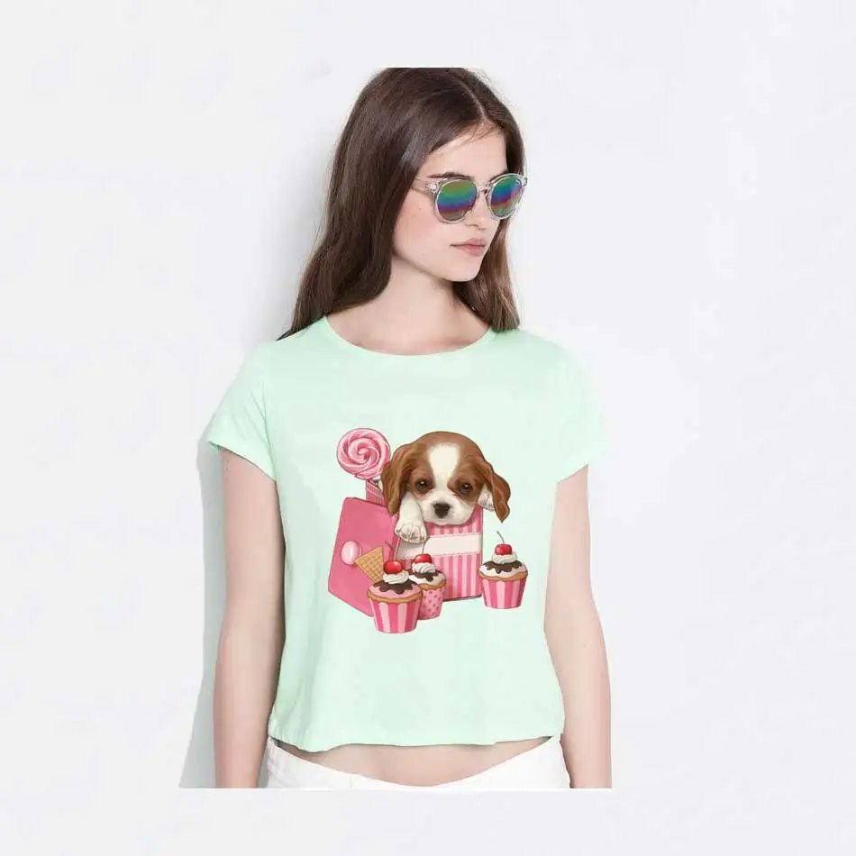 Camiseta lavable de nivel A para ropa, apliques de pegatinas de animales de dibujos animados, transferencia de hierro para ropa, hermoso gato