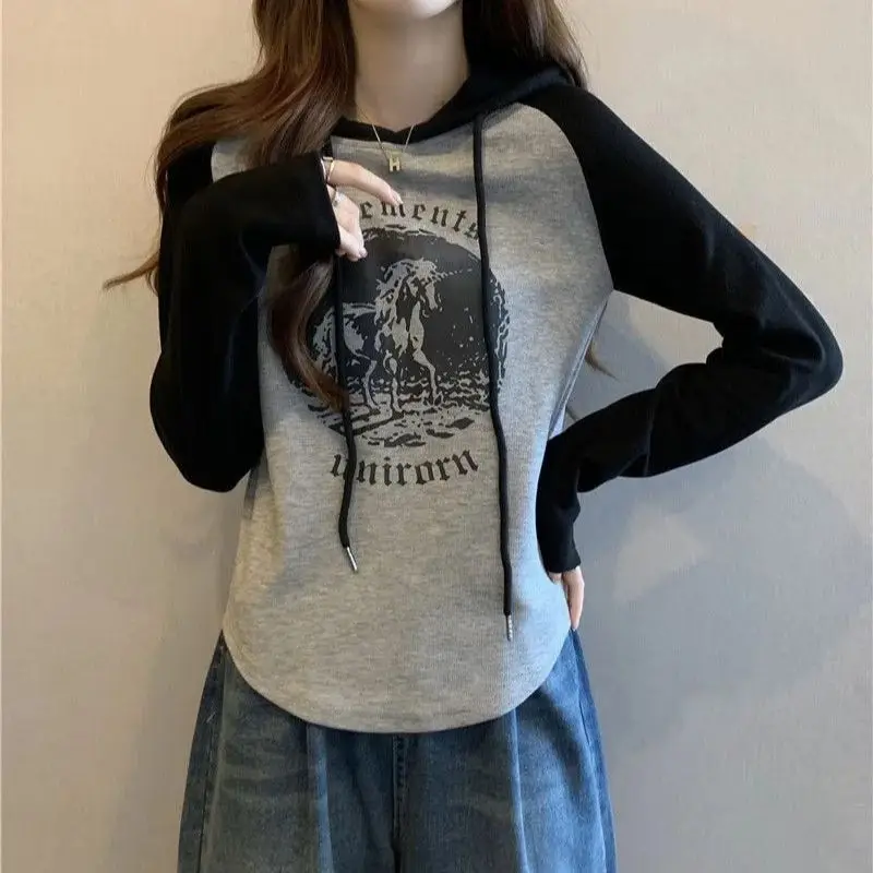 Large size slimming hooded long sleeved T-shirt for spring and autumn chubby MM, covering the belly and shoulders, versatile top