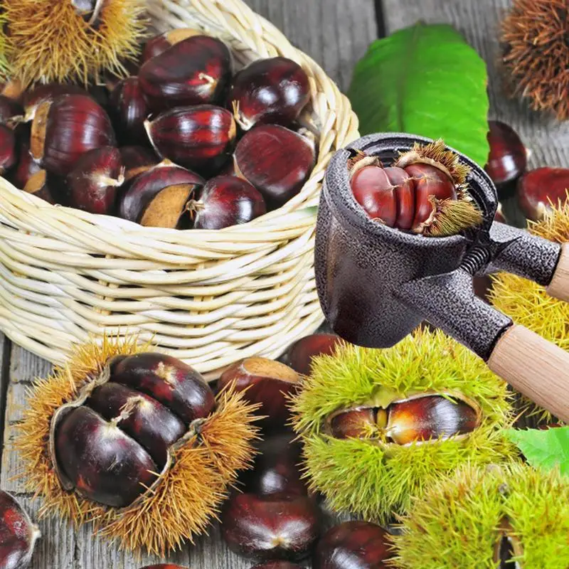 Roestvrijstalen notenkraker Droog fruit Harde schaal Openingsgereedschap Walnoottang Kastanje Dunschiller Hazelnoot Sheller Keukenaccessoires