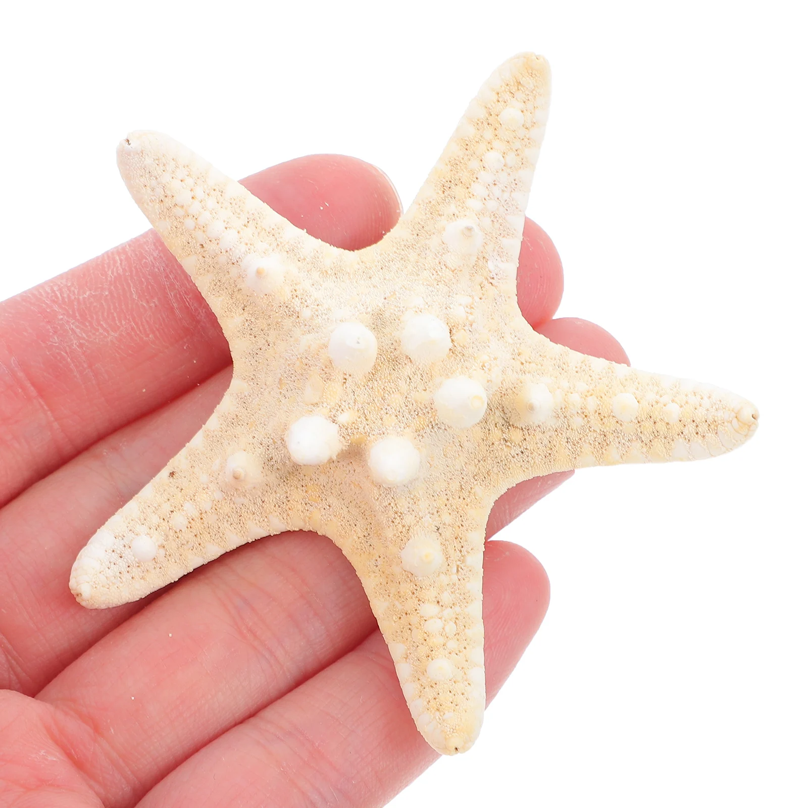 

5Pcs Natural Sea Star Ornaments Ocean Themed Home Decor Party Scatter Wedding Table Decoration Photo Props Ocean Theme Craft