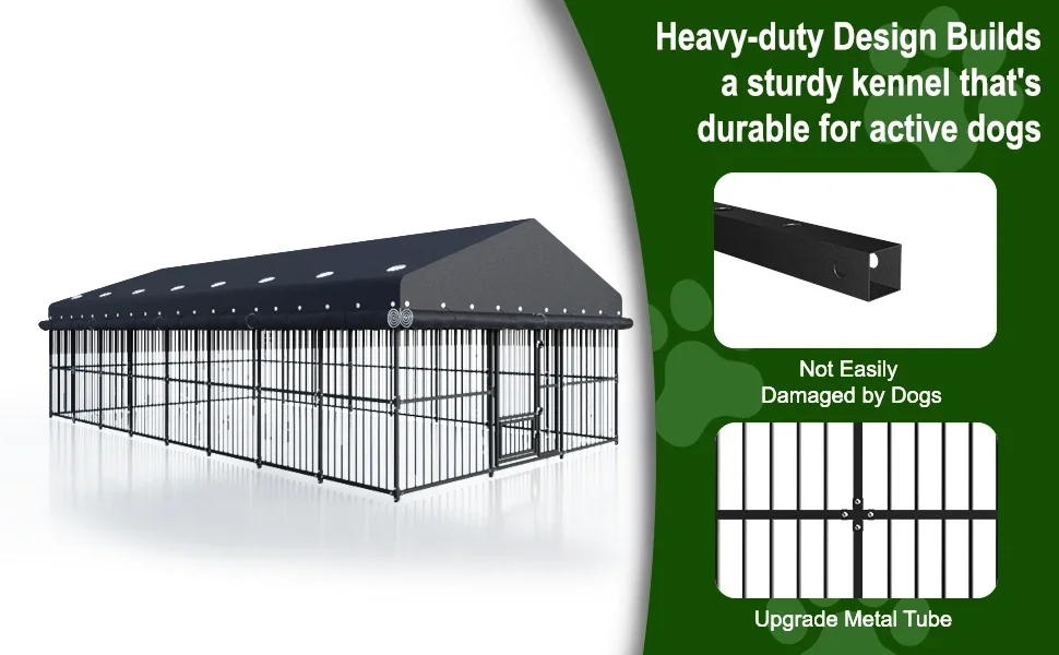 Dog Cage