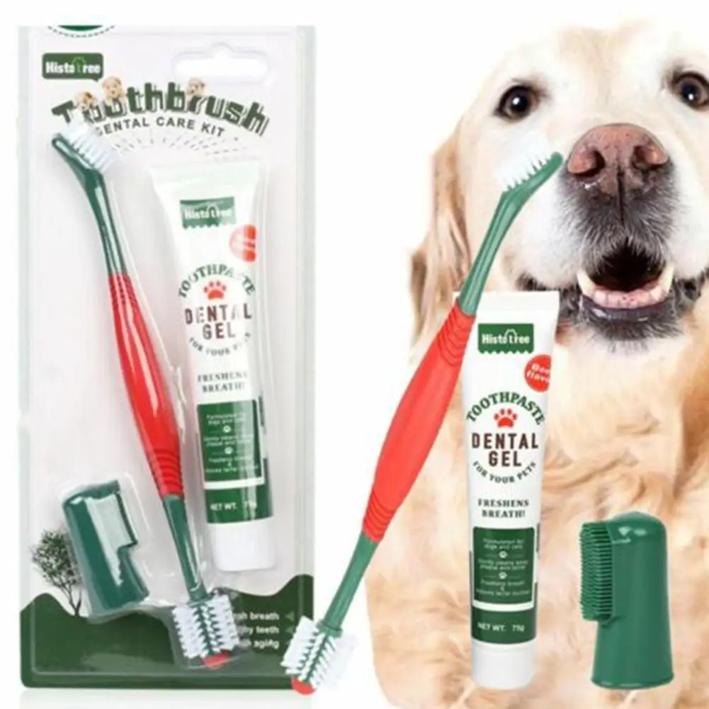 Pet Healthy Edible Toothpaste With Toothbrush Dog Cats Care Toothpaste Flavor Vanilla Mouth Teeth Cleaning Beef Flavor Dog J5M7