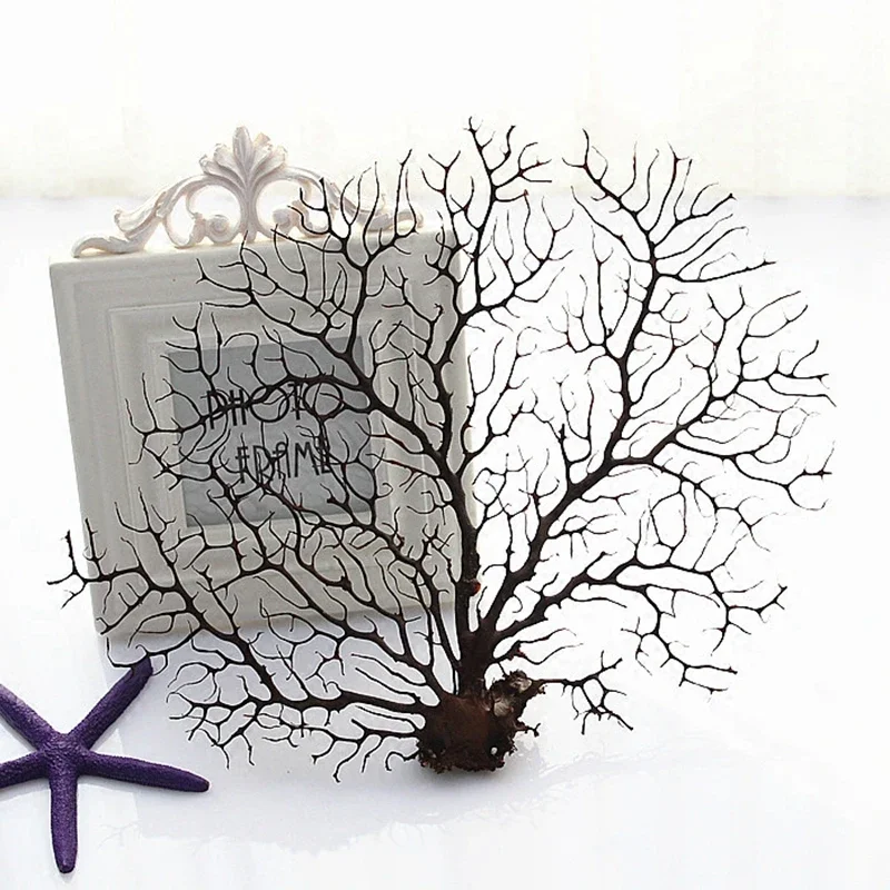 20-25cm Natural Real Dry Coral Plant Tree for Fish Tank Photo Frame Home Party Decoration