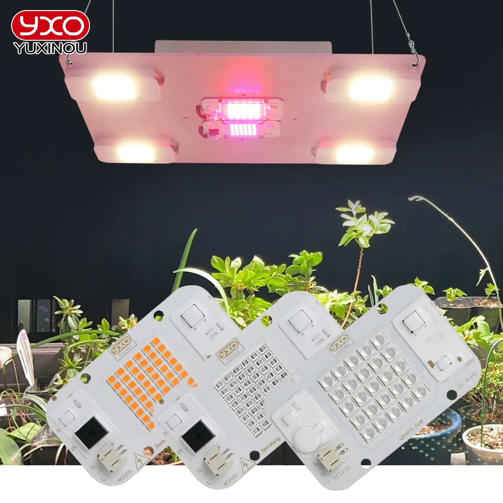 Imagem -03 - Sam-ng-quantum Led Grow Light para Estufa Lâmpada Vermelha uv Interruptor Ligado e Desligado Iluminação Hidropônica de Crescimento de Plantas Lm283b Mais 300w