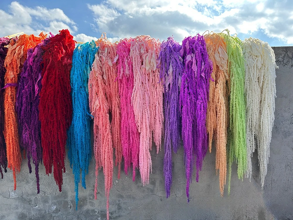 100 Stück gebleichte Glyzinienranken, getrocknete Hängeblumen, konservierte gebleichte Amaranthus-Blumen für Hochzeit, Festival, Wand- und Heimdekoration – Detail 2