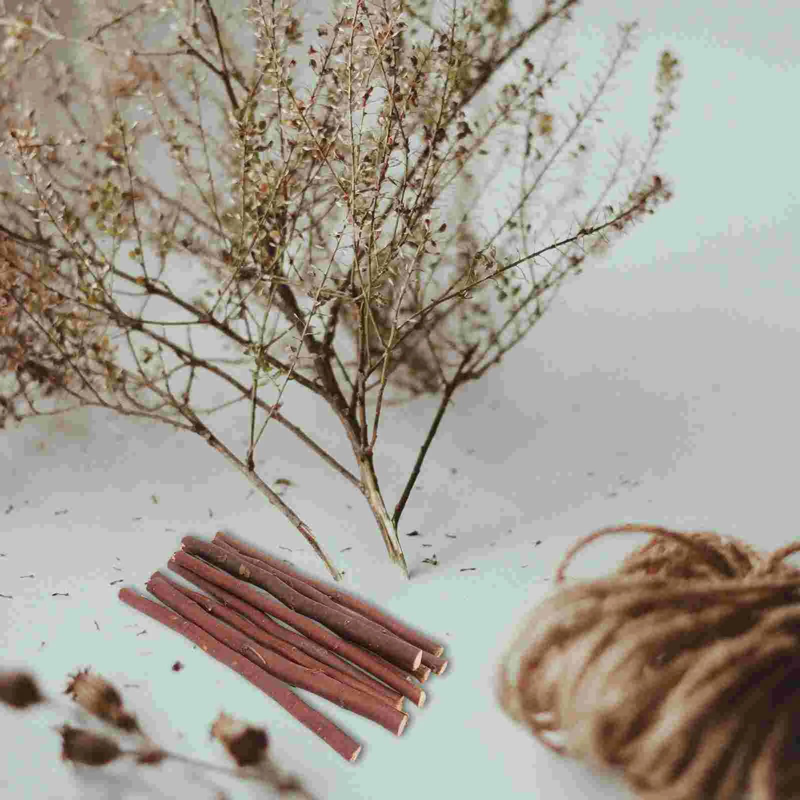 Artificial Rattan Branch Sticks DIY Wooden Dry Branches Crafts Decor for Vase Supply Faux Plants