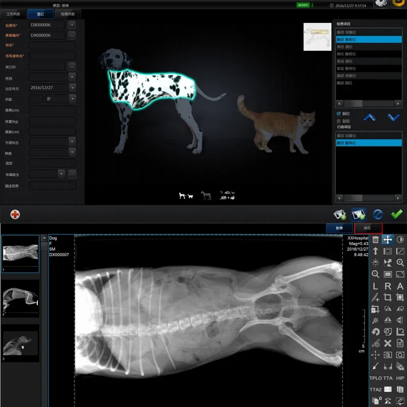 Veterinäres Röntgengerät zur Erkennung von Gliedmaßen, digitales Dr-Röntgengerät, Röntgengerät