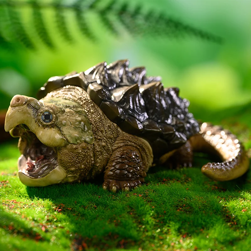 Animal Model Collection Ornaments Animal Planet Xbadpanda Let’S Reptile Series No. 1 Snapping Turtle Adult Figure Gift