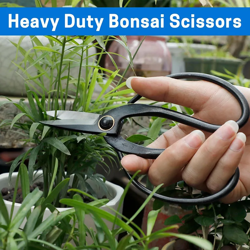 Professional Bonsai Scissors 7.3\