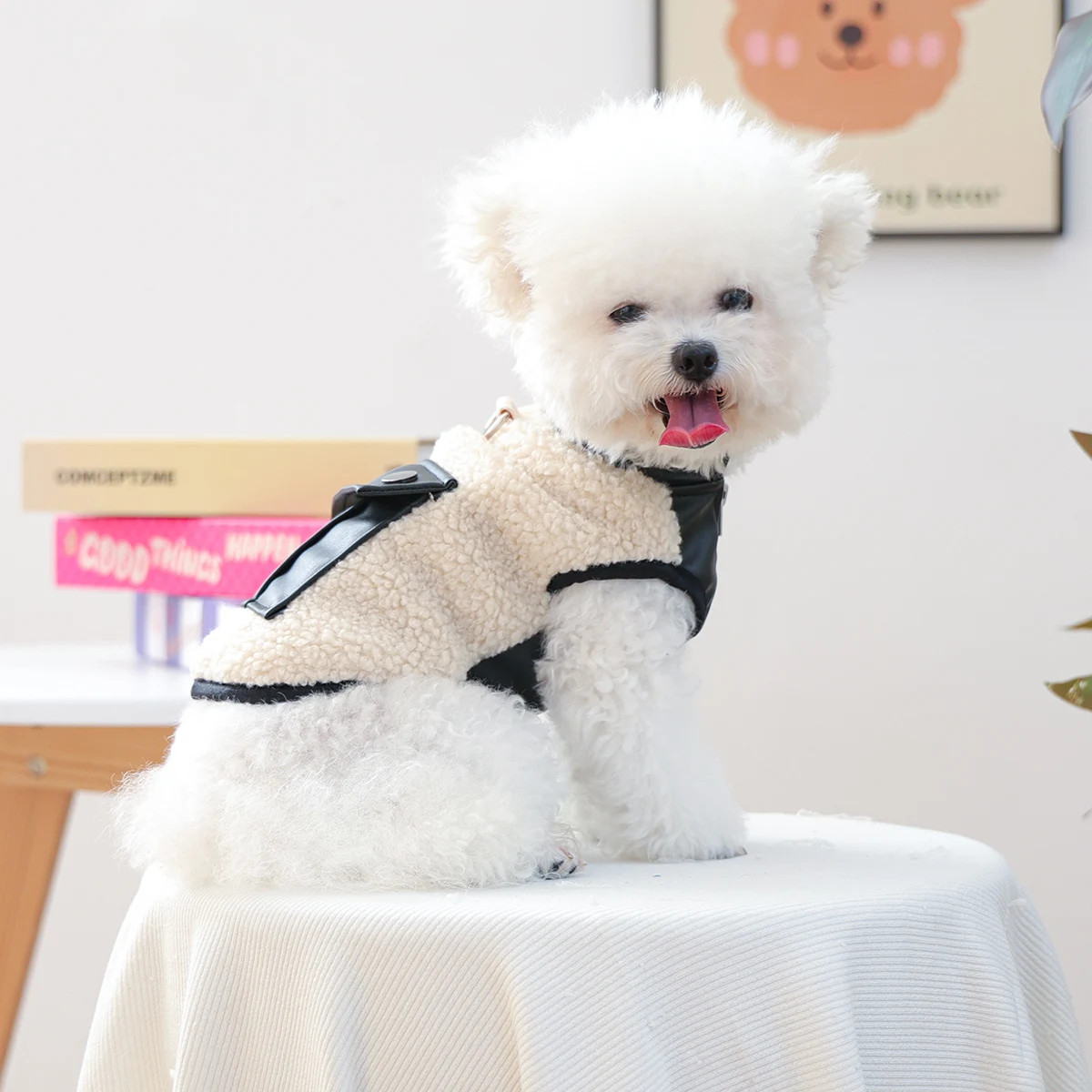 ملابس الخريف والشتاء للقطط والكلاب الأليفة، سترة جلدية صغيرة وسيم بجيب من لحم الضأن - سترة عصرية سوداء سميكة