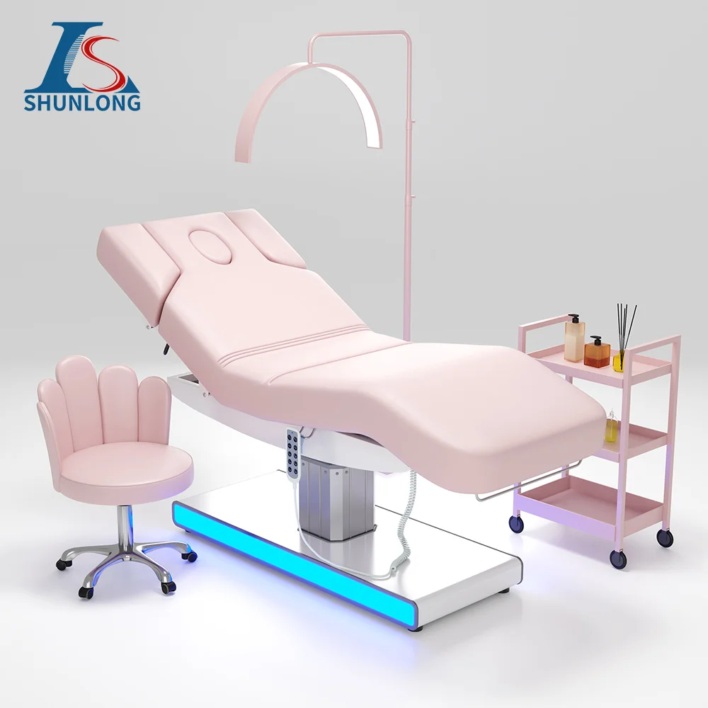 Electric Facial Massage Bed Pink PU Single Aluminum Column Lift LED Ambient Light Reclining Beauty Table, With Pink Technician C