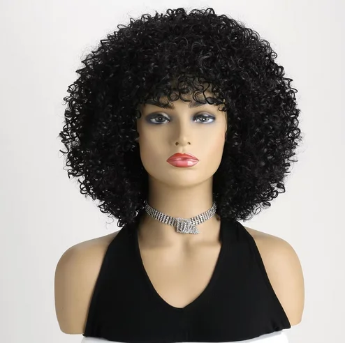 12 Inch Short Curly Hair Wig for Women Heat Resistant Synthetic Wig with Bangs Party Daily Use Afro Female Wig Hair